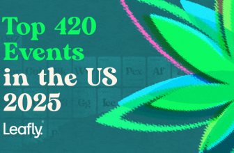 Leafly answers: The best 420 events near me