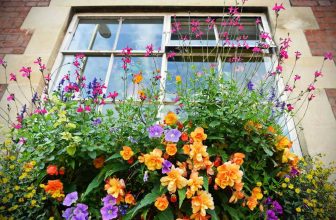 24 of the best things to do in London in March (2025)