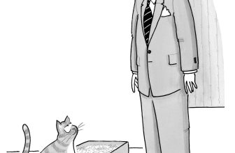 ONLINE MEDIATION IN 2019 — Benson Mediation, Arbitration, Workplace Investigation