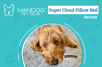 A Comfy Spot for Your Furry Friend – Dogster