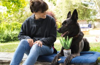 Building a Strong Bond with Your Pet: Communication, Trust, and Quality Time