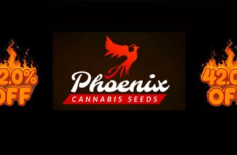 The Vaults 420 Frenzy: 42% Off + Freebies Galore!