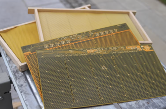 Faced with dwindling bee colonies, scientists are arming queens with robots and smart hives