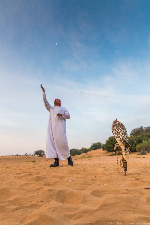 Bucket List Hotels: Al Maha