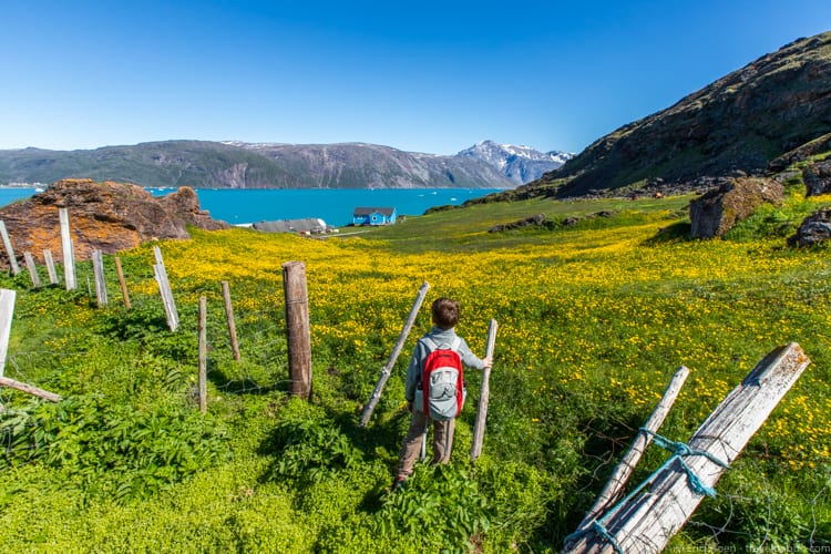 Greenland with kids - A quick stop at Ilunnguujuk farm
