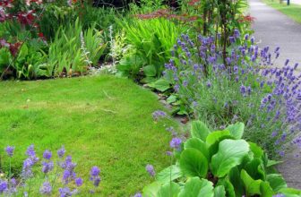 How To Start A Garden from Scratch Without Breaking the Bank