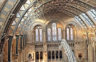 The Natural History Museum | Things to Do in London