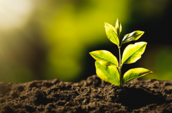 5 Ways Hemp is Boosting India’s Sustainability Movement– The Trost