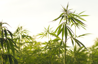 Benefits & Regional Variations– The Trost