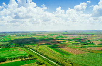 How Hemp Farming is Transforming Rural Economies in India– The Trost