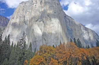 Do you really want to settle this dispute through mediation? – Ken Strongman, Esq.