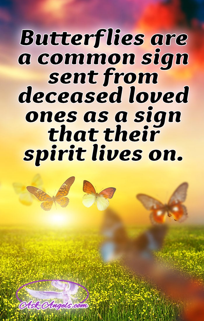 The meaning of the butterfly is so spiritually symbolic and butterflies also are often signs of Heaven sent from our loved ones as a sign that their soul and spirit lives on beyond the physical.