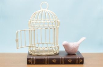 Book Censorship News, April 25, 2025