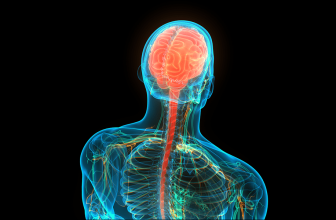 Mental Health & the CB2 Receptor