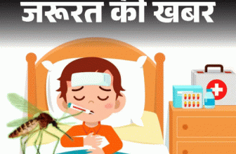 Severe Malaria Symptoms Symptoms; Diarrhea Fever | Headache | जरूरत की खबर- मलेरिया पैरासाइट लिवर में क्यों छिपते हैं: कंपकंपी और बुखार हो तो तुरंत कराएं जांच, जानें बचाव के 7 आसान उपाय