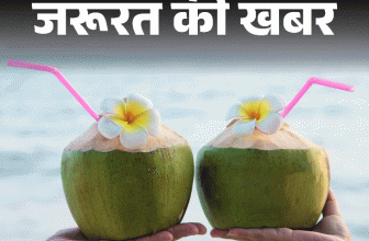 Coconut Water Health Benefits (Nariyal Pani Ke Fayde) | Nutritions | जरूरत की खबर- गर्मियों का ‘अमृत’ है नारियल पानी: न्यूट्रिशनिस्ट से जानें इसके 10 बड़े हेल्थ बेनिफिट्स, किन्हें नहीं पीना चाहिए