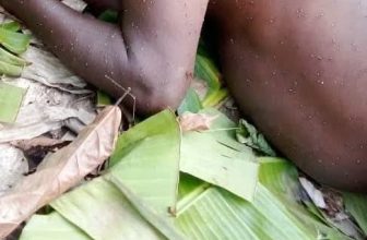 Swarm of bees attacks and k!lls farmer, injure two others in Osun farm