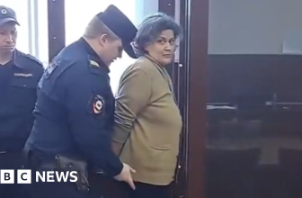 Russian hairdresser jailed over neighbour’s claim of spreading fake news