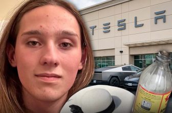 University of Massachusetts student charged with firebombing Tesla dealership