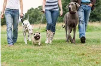 Storystorm 2025 Day 29: Shari Becker Needs Accountability