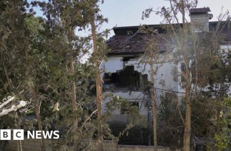 Israeli military admits its troops killed UN worker in Gaza Strip