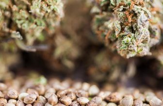 Florida House Advances Bills to Regulate, Tax Hemp THC Products