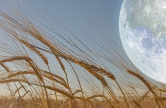 Harvest Moon Spiritual Meaning – Ask-Angels.com