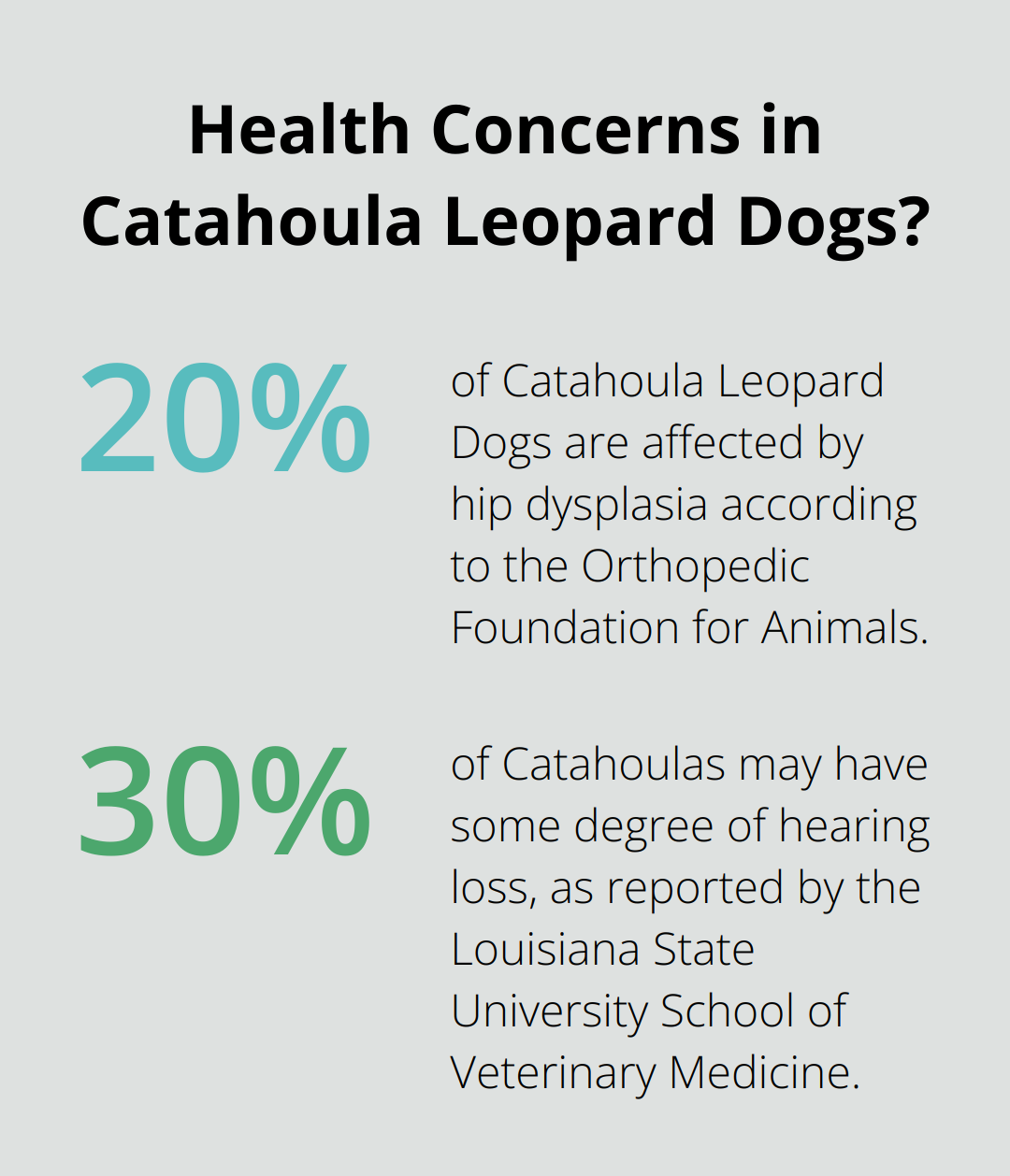 Infographic: Health Concerns in Catahoula Leopard Dogs?