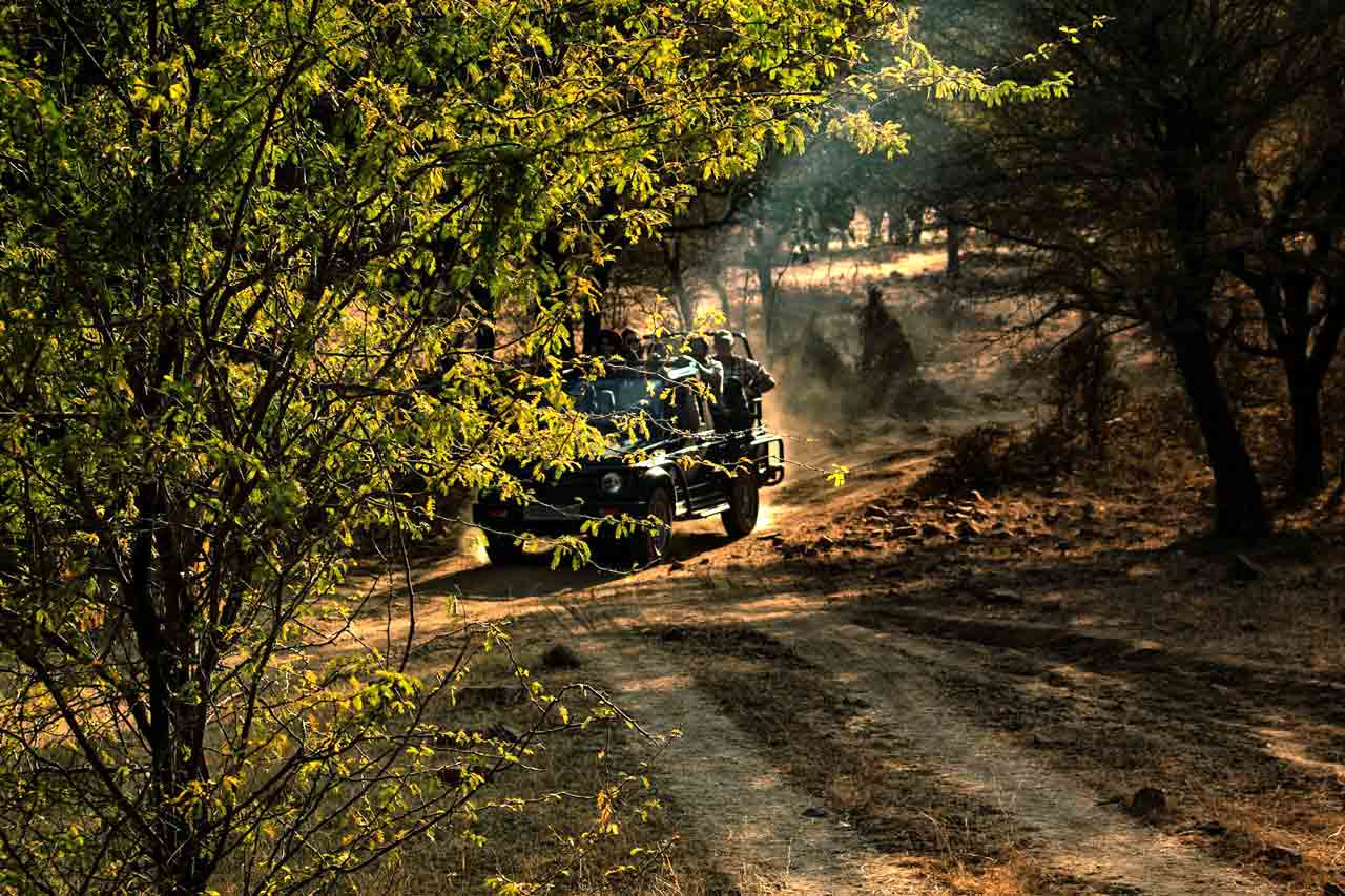 jeep safari adventure