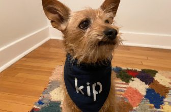 What Not-Flashy Things Do You Love?