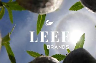 LEEF Brands Begins Planting Salisbury Canyon Ranch, One of World’s Largest Cannabis Farms