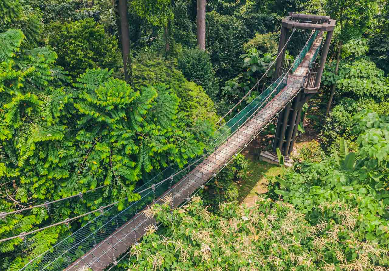kl forest eco park