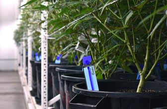 Metrc Launches Redesigned Eco-Friendly Tags in Sustainability Commitment