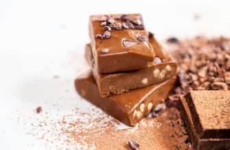 Can You Eat Protein Bars on Carnivore Diet