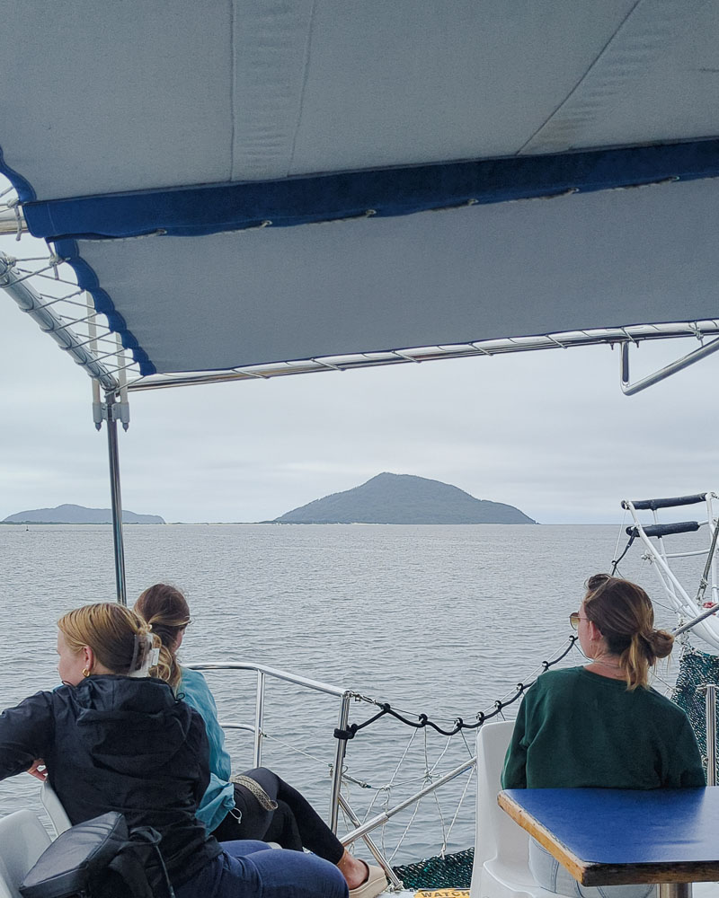 Boat ride in Port Stephens