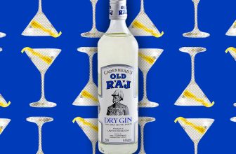 This Cult Gin Stars In NYC’s Best Martinis, but You’ve Probably Never Heard of It
