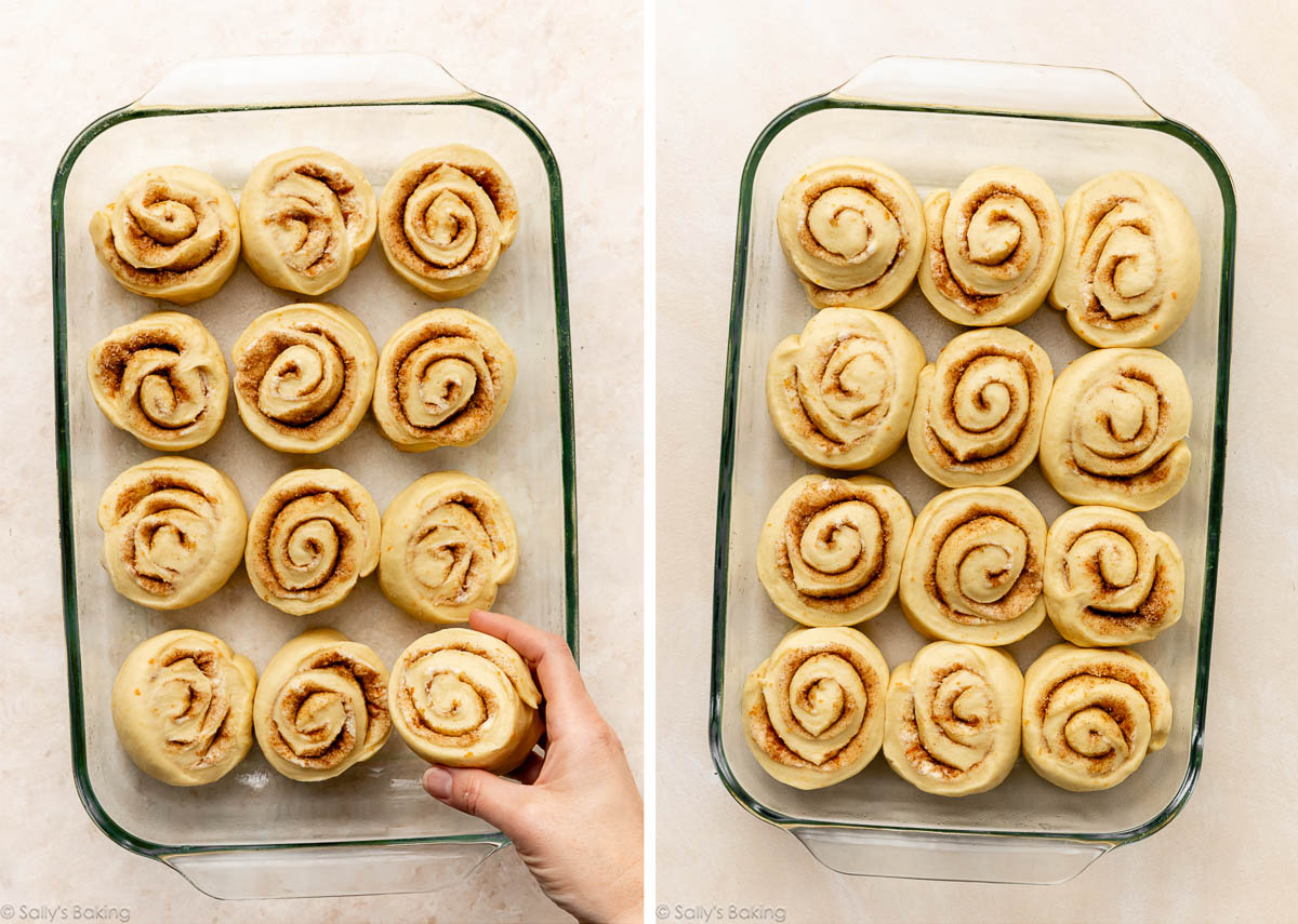 orange rolls before and after rising.