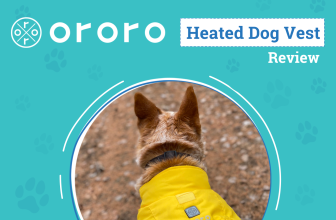 How To Keep Warm On Every Dogventure – Dogster