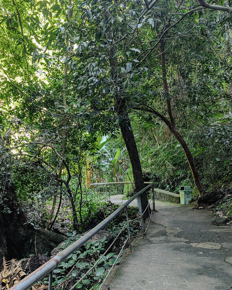 Paved sloping pathway to Paradise Cave through jungle