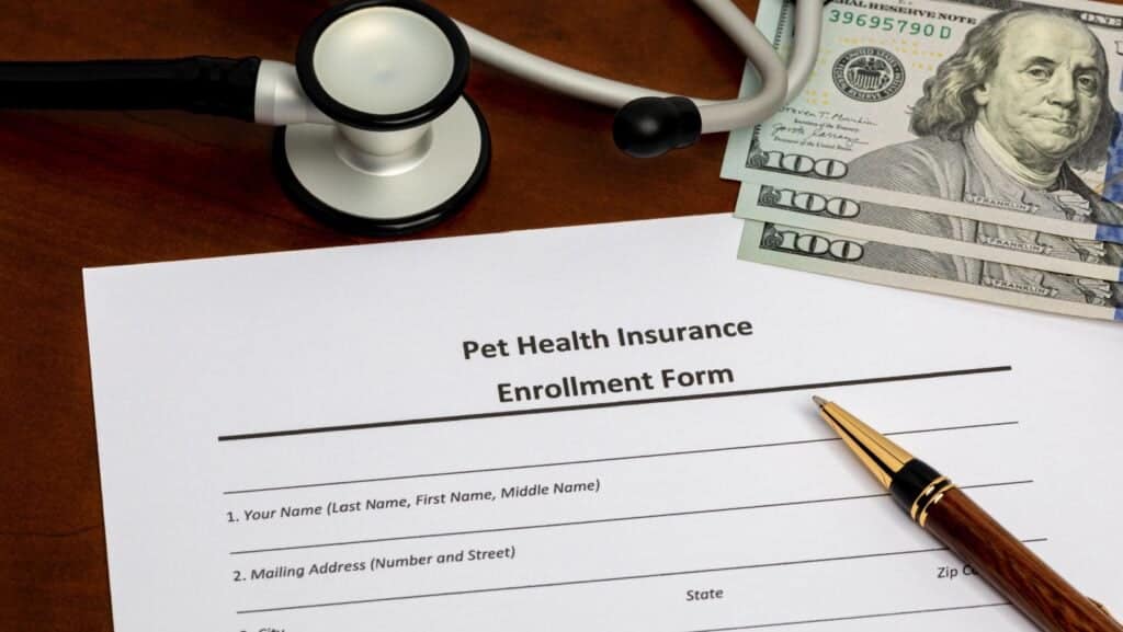 pet insurance.