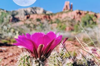 Pink Full Moon Spiritual Meaning