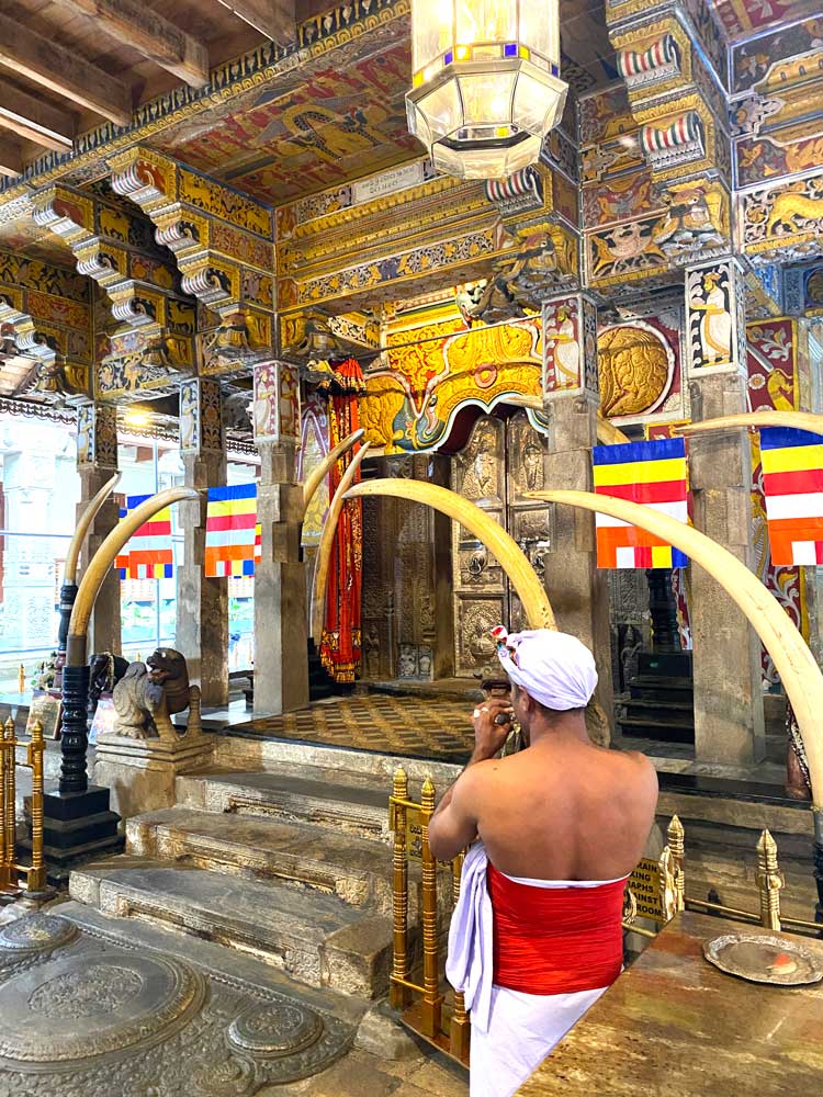 rituals inside the temple of the tooth in kandy