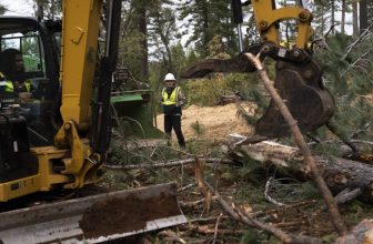 Apprenticeships are Bringing New Workers to Heritage Industries