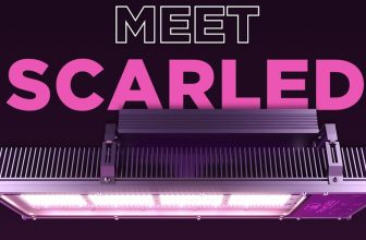 Cutting-edge LED Lighting for Precision Cannabis Cultivation