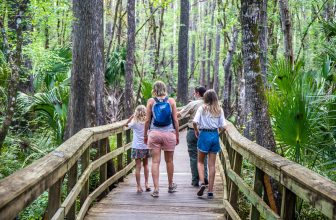 Guide To The Gorgeous Highlands Hammock State Park, Florida