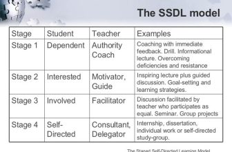 Stages Of A Self-Directed Learning Model