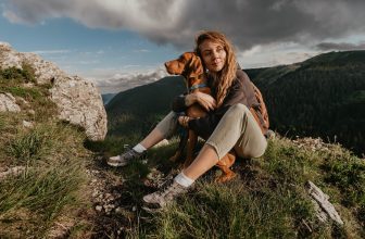 15 ‘Adventurous’ Dog Breeds That Love Exploring