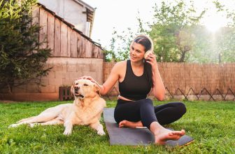 11 Routine-Loving Dog Breeds That Thrive On Structure