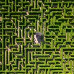 Aerial,Top,Down,View,Of,People,Trying,To,Find,Exit