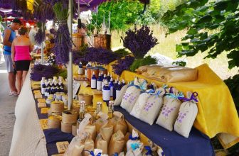 Top Flower Festivals Worldwide by Month — Tulips, Cherry Blossoms & More